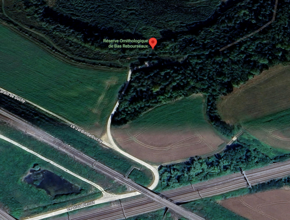 Rserve Ornithologique de Bas Rebourseaux