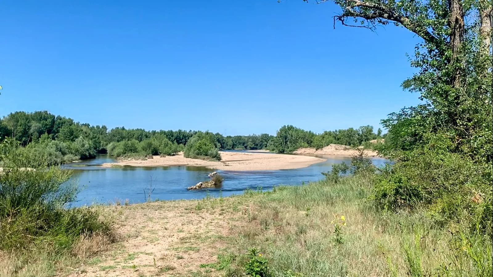 BORDS DE L'ALLIER - AVERMES