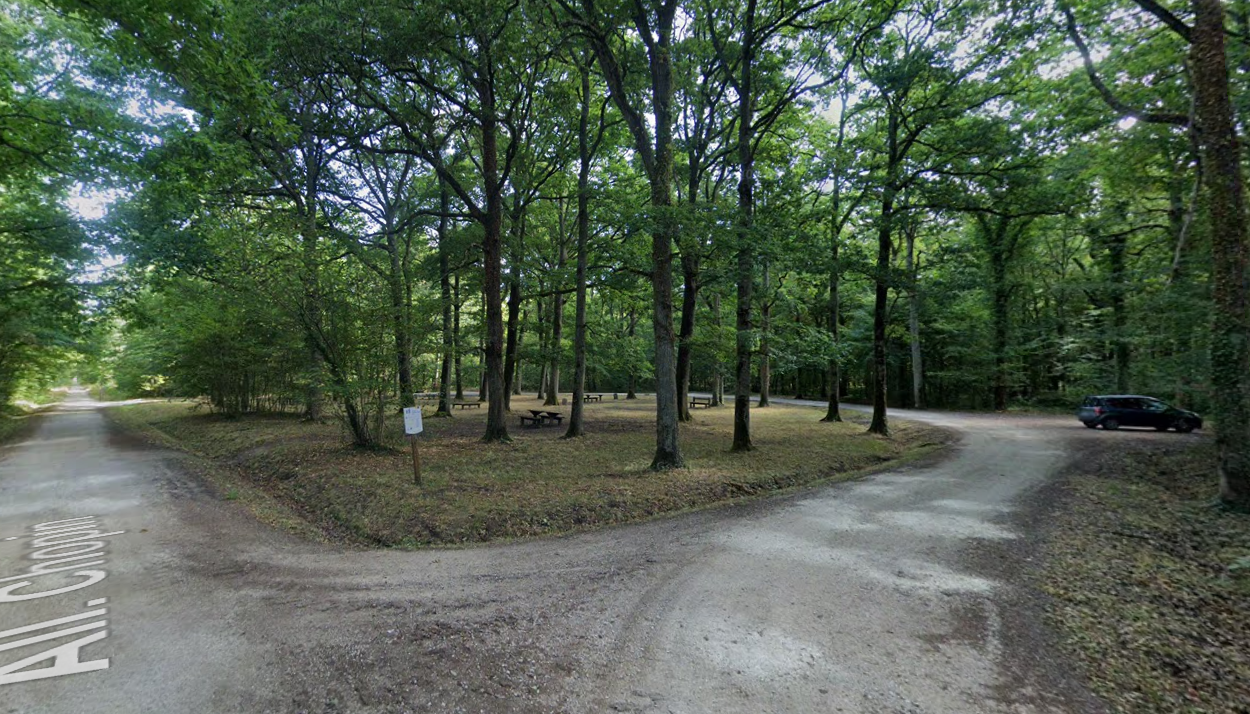 Parking et for�t All�e Chopin 