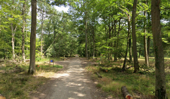 Foret de Dreux et ses parking