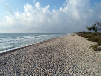 Plage des Aresquiers  Frontignan