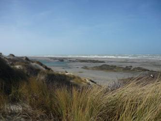 Les dunes de La Mollire