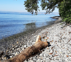 Plage naturiste de La Pinde de Thonon les bains