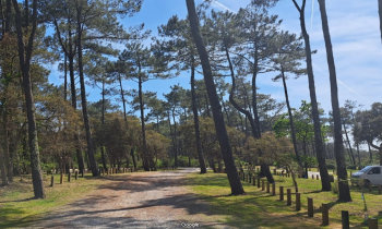 PARKING BOIS DE LA PLAGE DU MTRO