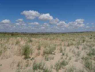 Plage Naturiste de la Pointe dArcay