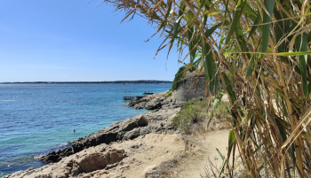 Plage Naturiste de la batterie