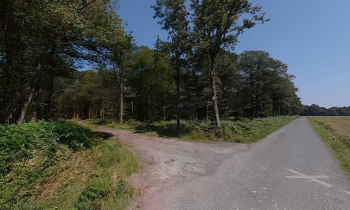 Bois Saint-Aignan-sur-Roë