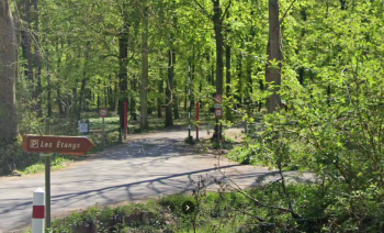 Foret de phalempin - Parking des tangs