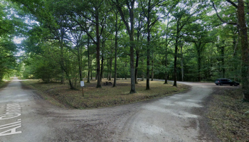 Parking et for�t All�e Chopin 